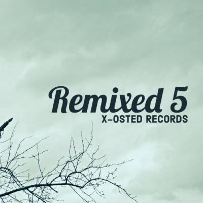 VA - X-Osted - Remixed 5 (2022) (MP3)
