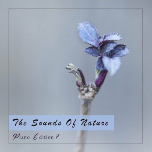 VA - The Sounds of Nature, Piano Edition 7 (2022) (MP3)