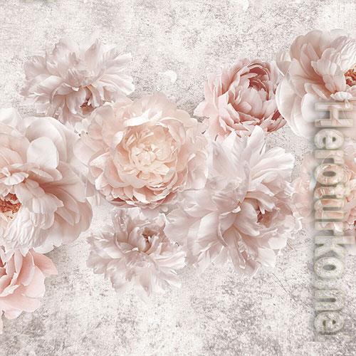3D Texture with peonies
