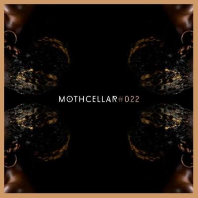 VA - Mothcellar 022 (2022) (MP3)