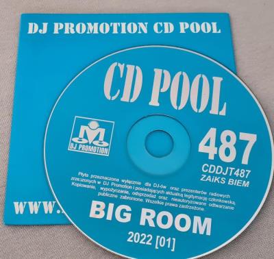 VA - DJ Promotion CD Pool Big Room 487 (2022) (MP3)