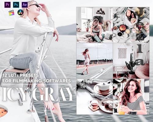 12 Icy Gray Video LUTs Presets, Silvery LUT Preset, Bright Grey Filter