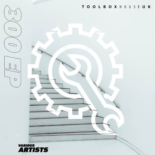 VA - Toolbox House 300 (2022) (MP3)