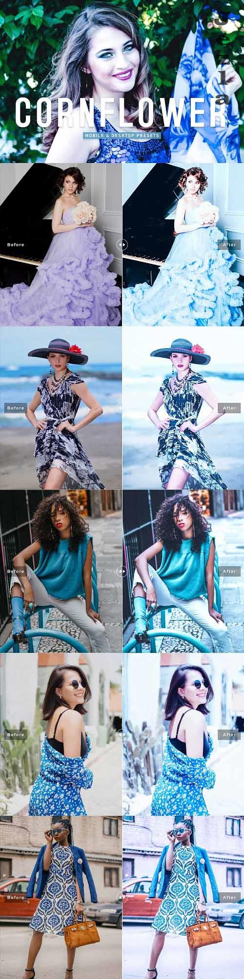 Cornflower Pro Lightroom Presets - 6923255