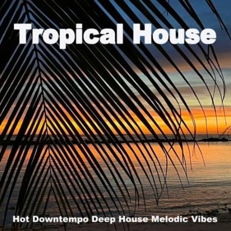 Сборник Tropical House Jam Hits 2022 (Hot Downtempo Deep House Melodic Vibes) (2022)