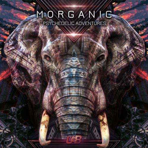 VA - Morganic - Psychedelic Adventures (2022) (MP3)