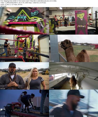 Shipping Wars S09E13 The Camel Clutch 720p HEVC x265 