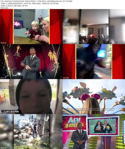 Americas Funniest Home Videos S32E11 720p HEVC x265 