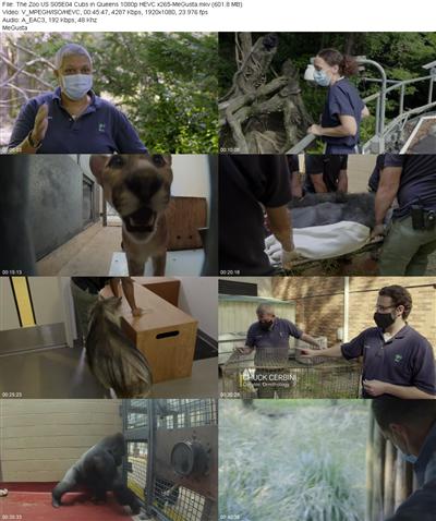 The Zoo US S05E04 Cubs in Queens 1080p HEVC x265 