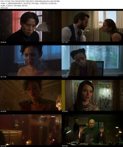 In From The Cold S01E05 720p HEVC x265 