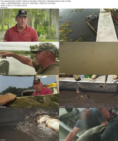 Swamp People S13E01 Gators on the Storm 720p HEVC x265 