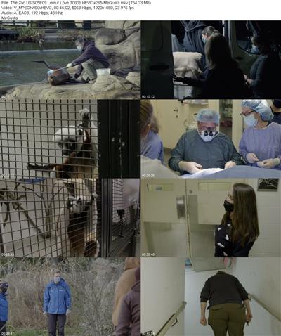The Zoo US S05E09 Lemur Love 1080p HEVC x265 