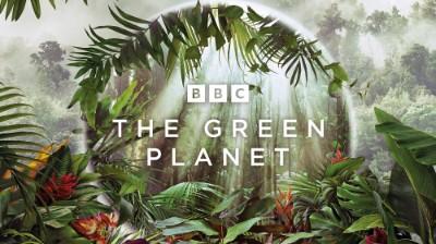 The Green Planet S01E02 1080p HEVC x265 