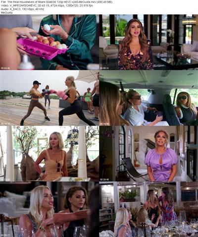 The Real Housewives of Miami S04E08 720p HEVC x265 