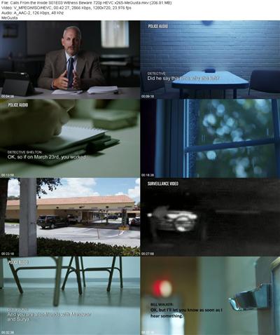 Calls From the Inside S01E03 Witness Beware 720p HEVC x265 