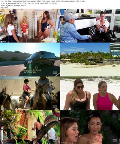 The Real Housewives of Orange County S16E07 Wild Cards 1080p HEVC x265 