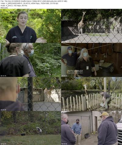 The Zoo US S05E05 Giraffe Dance 1080p HEVC x265 
