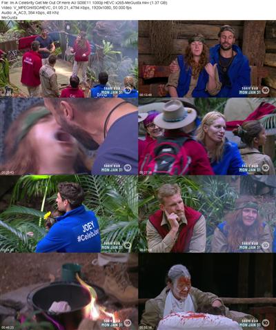 Im A Celebrity Get Me Out Of Here AU S08E11 1080p HEVC x265 