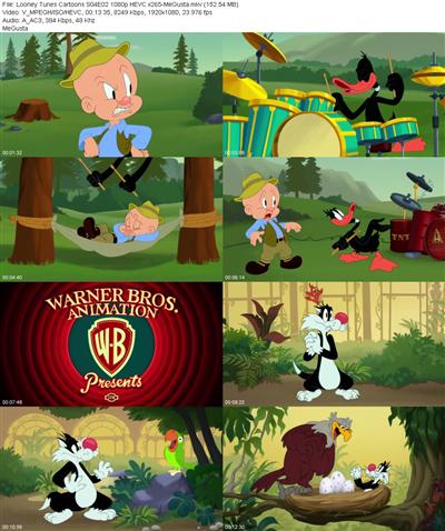 Looney Tunes Cartoons S04E02 1080p HEVC x265 