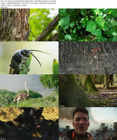 The Green Planet S01E03 1080p HEVC x265 