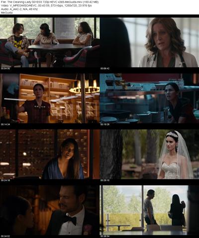 The Cleaning Lady S01E03 720p HEVC x265 