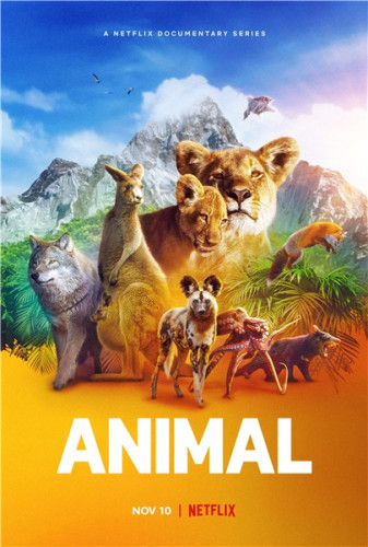   / Animal,  1,  1-4  4 (2021) WEB-DL 1080p