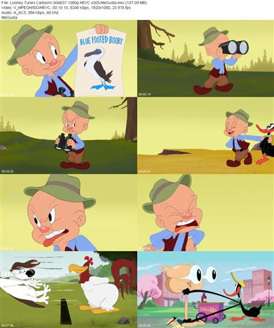 Looney Tunes Cartoons S04E07 1080p HEVC x265 