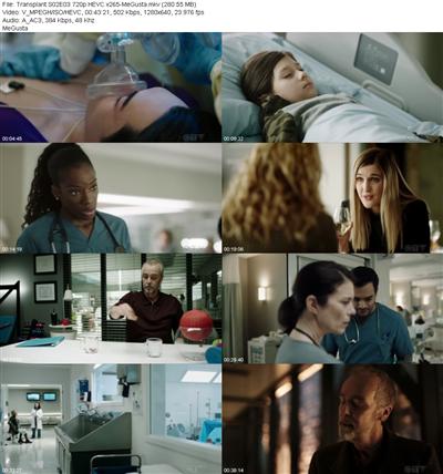 Transplant S02E03 720p HEVC x265 