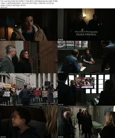 Law And Order SVU S23E11 720p HEVC x265 