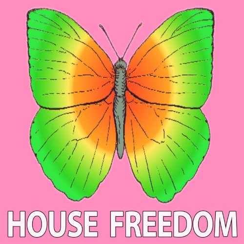 House Freedom - Deep Topic (2022)
