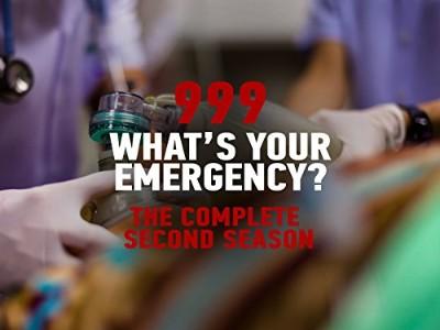 999 Whats Your Emergency S14E01 1080p HEVC x265 