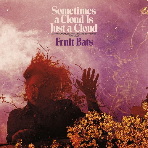 VA - Fruit Bats - Sometimes a Cloud Is Just a Cloud: Slow Growers, Sleeper Hits and Lost Songs (2001–2021) (2022) (MP3)