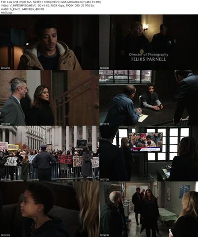 Law And Order SVU S23E11 1080p HEVC x265 