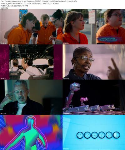 The World According to Jeff Goldblum S02E07 720p HEVC x265 