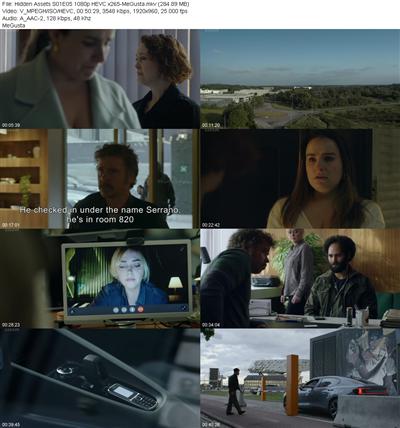 Hidden Assets S01E05 1080p HEVC x265 