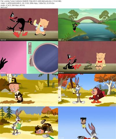 Looney Tunes Cartoons S04E05 720p HEVC x265 