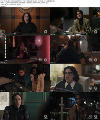 Single Drunk Female S01E01 Pilot 1080p HEVC x265 