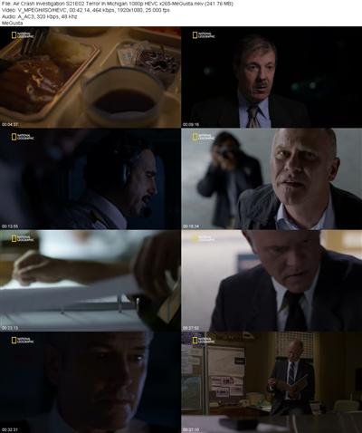 Air Crash Investigation S21E02 Terror In Michigan 1080p HEVC x265 