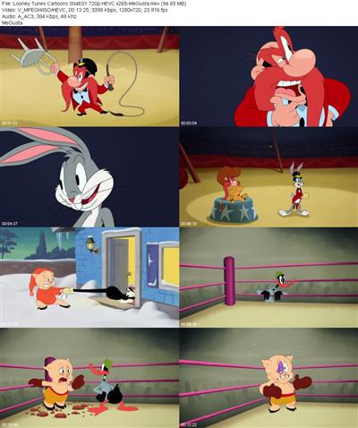 Looney Tunes Cartoons S04E01 720p HEVC x265 