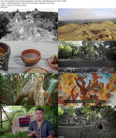 NOVA S48E25 Ancient Maya Metropolis 720p HEVC x265 