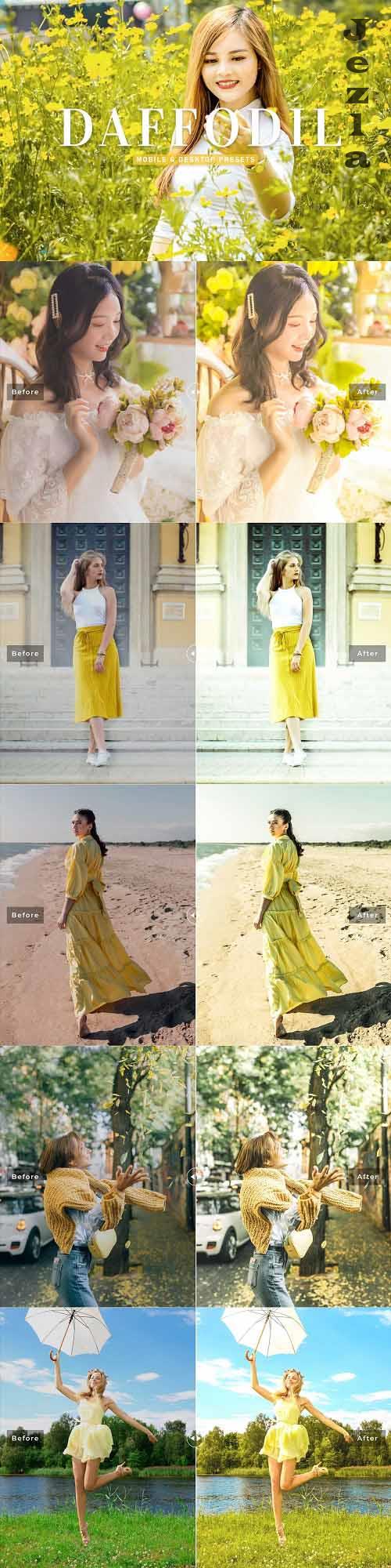 Daffodil Pro Lightroom Presets - 6929650