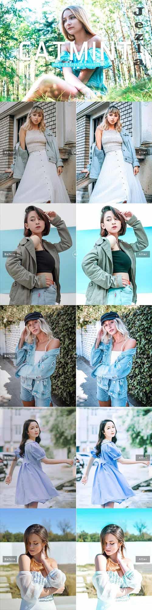 Catmint Pro Lightroom Presets - 6926796