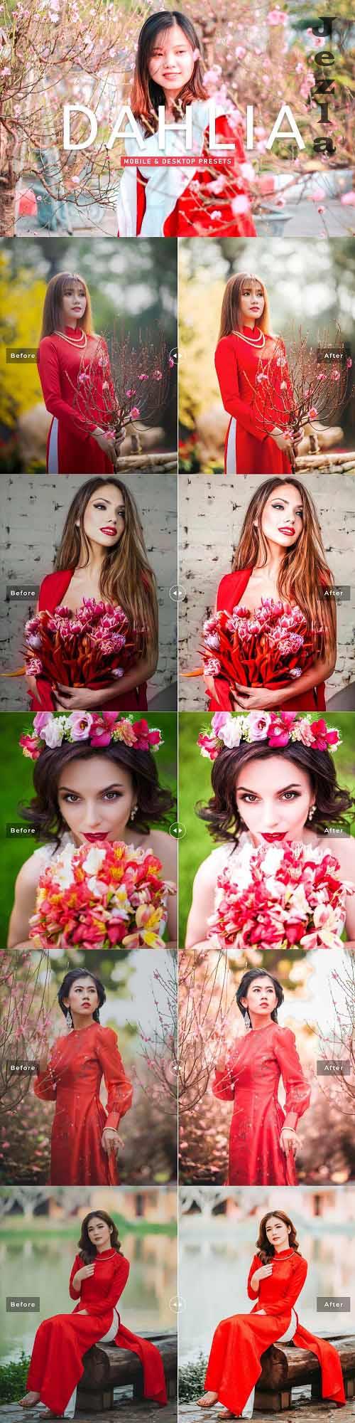 Dahlia Pro Lightroom Presets - 6929653