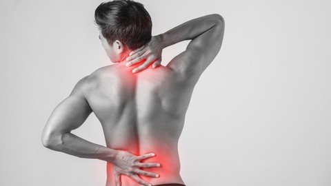 Udemy - Exercise and Pain Relief (Sector 1th)