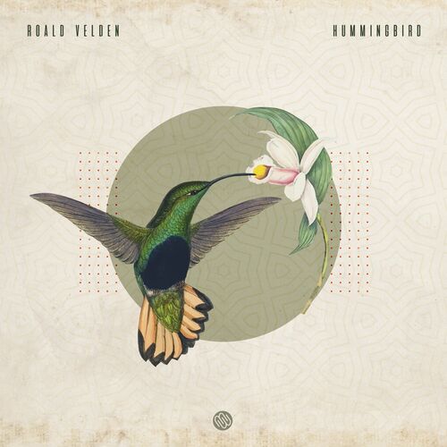 VA - Roald Velden - Hummingbird (2022) (MP3)