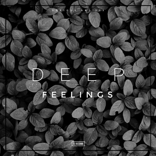 VA - 33 RS010 - Deep Feelings (2022) (MP3)