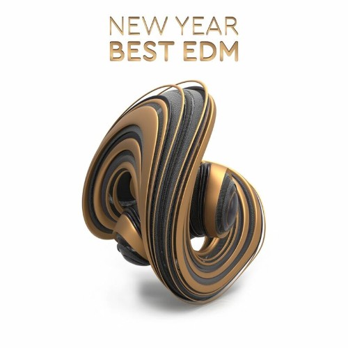 VA - New Year Best EDM (2022) (MP3)