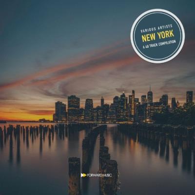 VA - A 40 Track Compilation: New York (2022) (MP3)