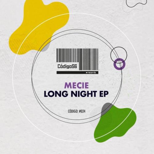VA - Mecie - Long Night (2022) (MP3)