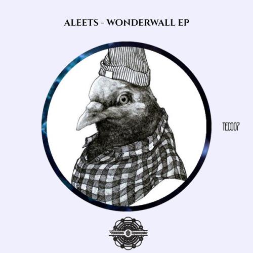 VA - Aleets - Wonderwall EP (2022) (MP3)